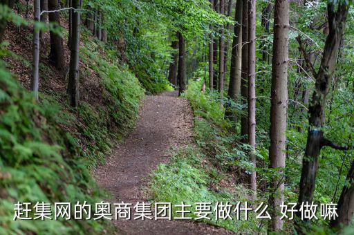 奧骨集團(tuán)是做什么的，趕集網(wǎng)的奧商集團(tuán)主要做什么 好做嘛