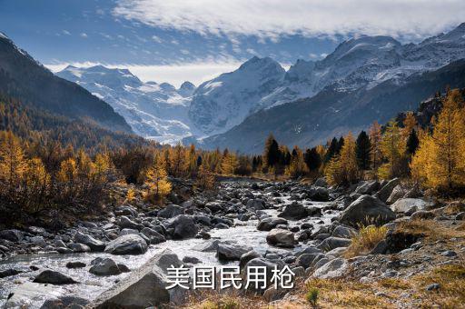 美國(guó)1994年禁什么槍，美國(guó)民用槍