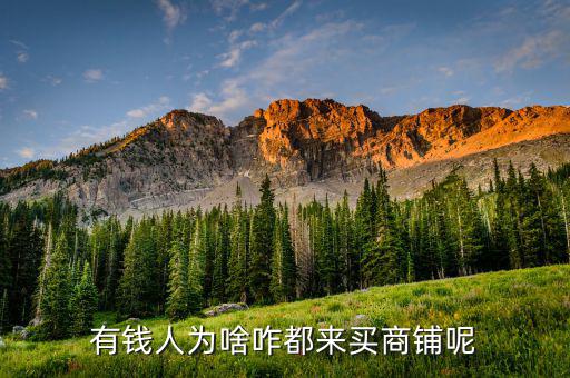 有錢(qián)人為啥咋都來(lái)買(mǎi)商鋪呢
