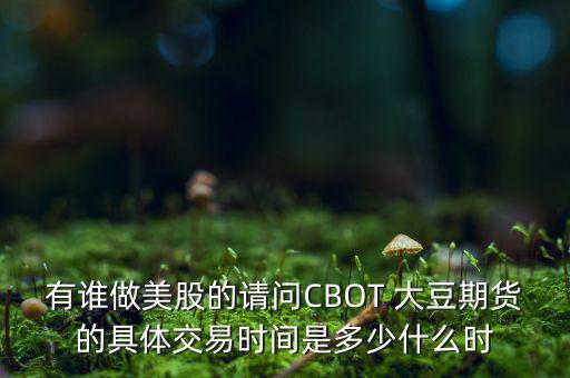 有誰(shuí)做美股的請(qǐng)問(wèn)CBOT 大豆期貨的具體交易時(shí)間是多少什么時(shí)