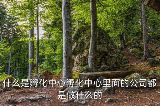信隆實業(yè)是做什么的，什么是孵化中心孵化中心里面的公司都是做什么的