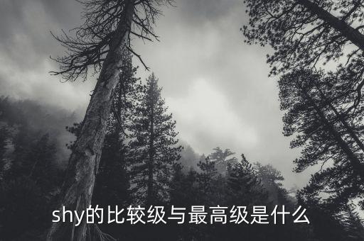 50etf期權是什么，汽車導航canl和canh是什么