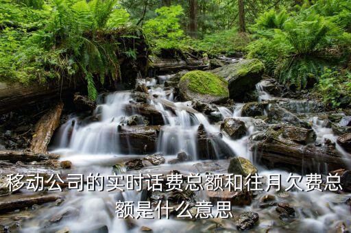 移動賬單總額什么意思，移動公司的帳單總額與實時話費區(qū)別