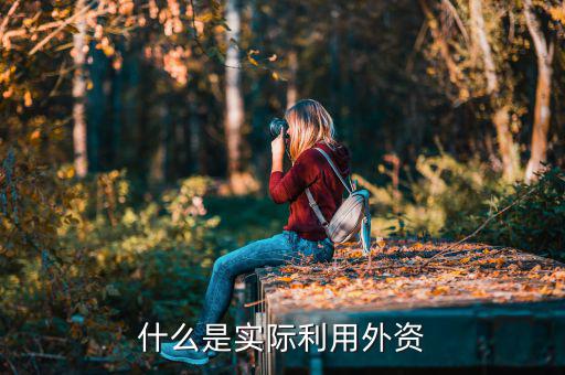 什么叫實際使用外資，什么是實際利用外資