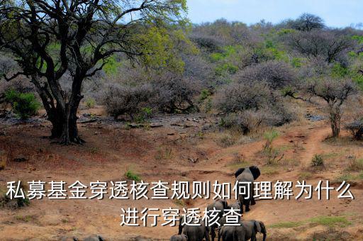 基金的穿透是什么意思，私募基金合格投資者的穿透核查怎么理解