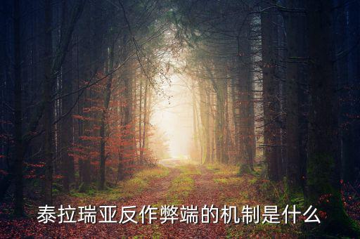 什么是反舞弊機(jī)制，google廣告聯(lián)盟反作弊系統(tǒng)原理嗎