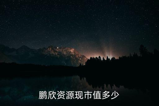 鵬欣資源是什么公司，鵬欣資源現(xiàn)市值多少