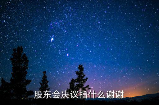 什么是股東會決議，有限責(zé)任公司決議叫股東會會決議那么國有企業(yè)決議應(yīng)該叫什