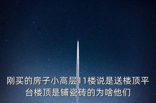 剛買(mǎi)的房子小高層11樓說(shuō)是送樓頂平臺(tái)樓頂是鋪瓷磚的為啥他們