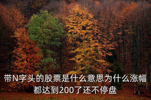 n派思是什么股票，帶N字頭的股票是什么意思為什么漲幅都達(dá)到200了還不停盤