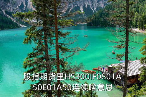 什么是hs300板塊，HS300是什么期貨合約