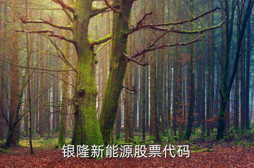 銀龍股份什么時(shí)候上市，銀隆新能源股票代碼