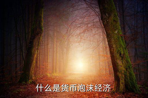 信貸泡沫是什么，什么是金融泡沫