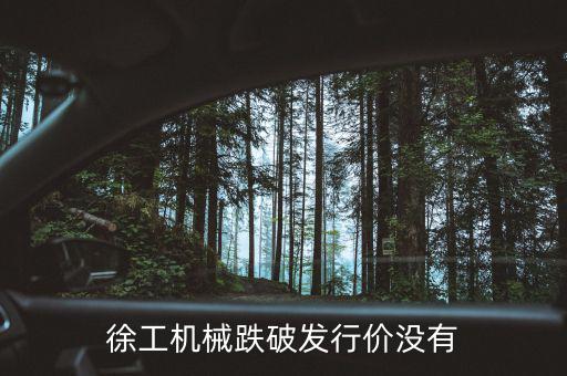 徐工機械什么時候復權，徐工機械何時復牌