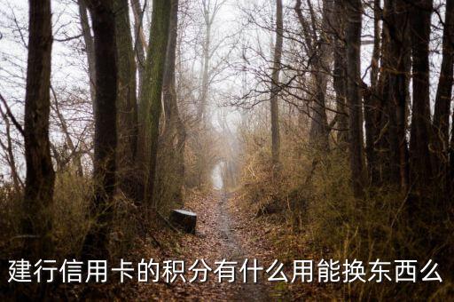 建行信用卡積分能兌換什么，請(qǐng)問下建行信用卡1萬多積分可以換什么