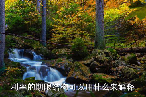 利率的期限結(jié)構(gòu)可以用什么來解釋，簡述利率的期限結(jié)構(gòu)