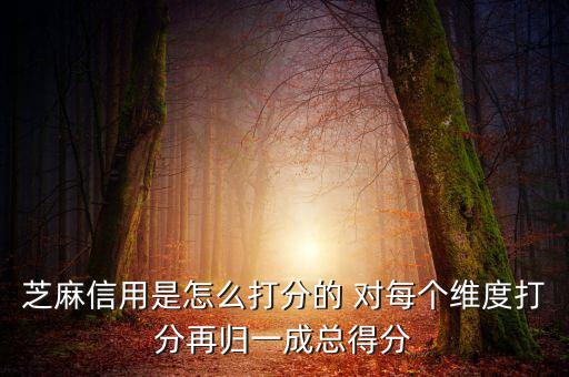 芝麻信用評(píng)分依據(jù)是什么，芝麻信用以什么依據(jù)評(píng)分