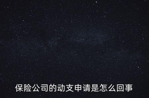 什么是動支申請，怎么樣支申請