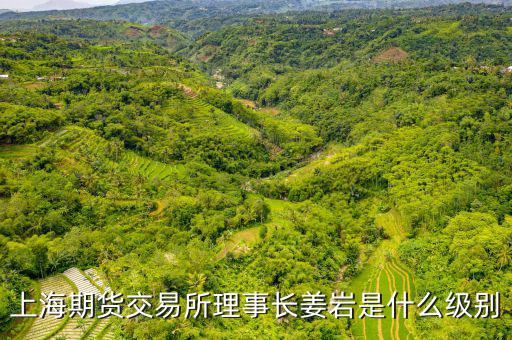 上交所理事長什么級別，上海期貨交易所理事長姜巖是什么級別
