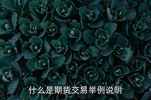 期權(quán)期貨是什么意思，期權(quán)與期貨是什么意思