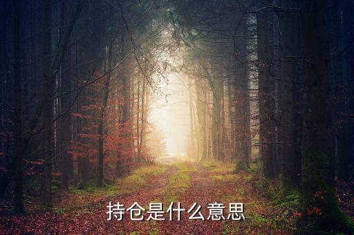 什么是買持倉，持倉是什么意思