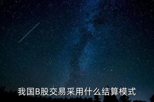 三板b股用什么結(jié)算，B股是必須用美元結(jié)算