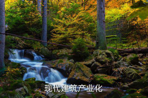 現(xiàn)代建筑產業(yè)化