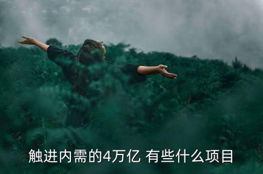 觸進(jìn)內(nèi)需的4萬億 有些什么項(xiàng)目