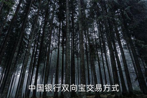 中國銀行雙向?qū)毷鞘裁?，中國銀行雙向?qū)殬I(yè)務(wù)詳細介紹
