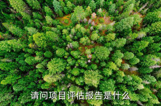 請問項(xiàng)目評估報(bào)告是什么