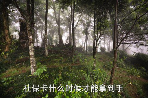 社?？ㄊ裁磿r(shí)候才能拿到手