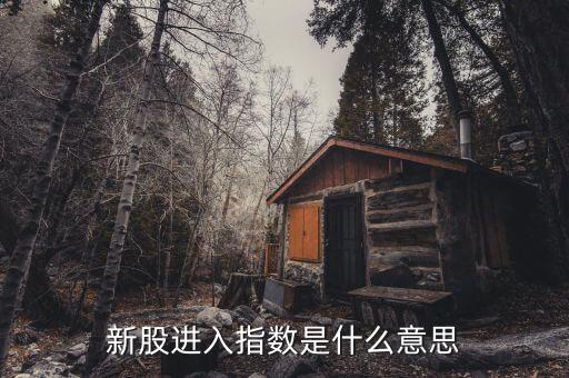 新指數(shù)是什么意思，新訂單指數(shù)是什么意思