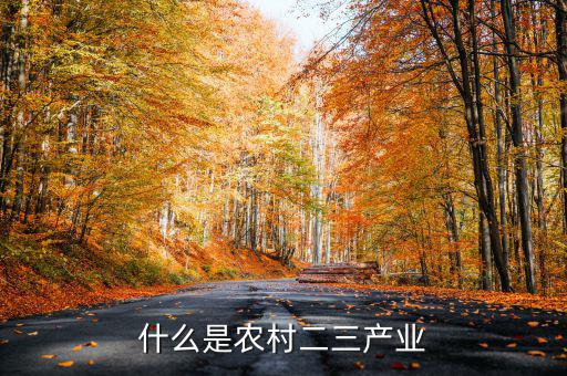 什么是農村二三產業(yè)