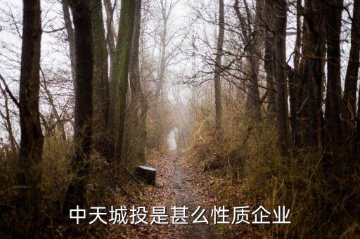 中天城投是什么概念，中天城投在這么些年的發(fā)展中涉及了哪些行業(yè)