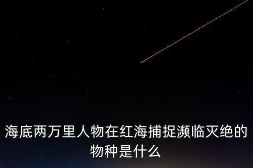 富智康和鴻海是什么關系，他的什么半島是在亞洲部分什么運河溝通了紅海和地中海
