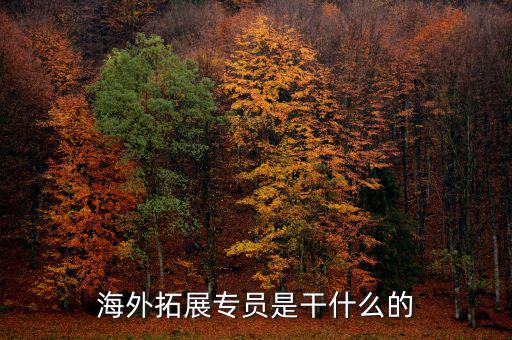 外拓業(yè)務(wù)員是做什么的，海外拓展專員是干什么的