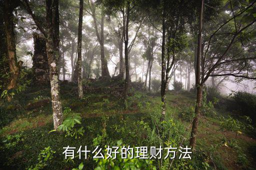 什么方式理財(cái)，理財(cái)有哪些方法