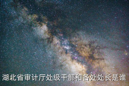 湖北省審計(jì)廳處級干部和各處處長是誰