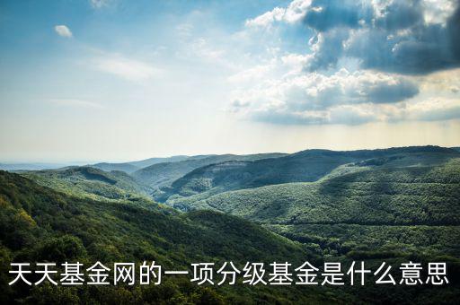 天天基金網(wǎng)的一項分級基金是什么意思