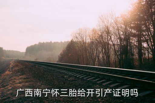 a廣西南寧生三胎有什么政策，2014年廣西人均收入2595元超生三胎罰款是多少錢