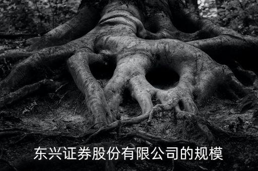 東興證券為什么是龍頭，東興證券這家證券公司怎么樣