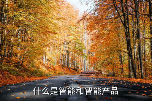 什么是智能產(chǎn)品，智能產(chǎn)品數(shù)碼產(chǎn)品電子產(chǎn)品它們有什么區(qū)別