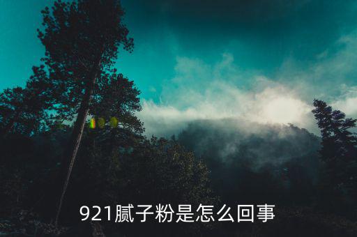 828涂料921用什么做的，828膩?zhàn)邮鞘裁?/></a></span><span id=