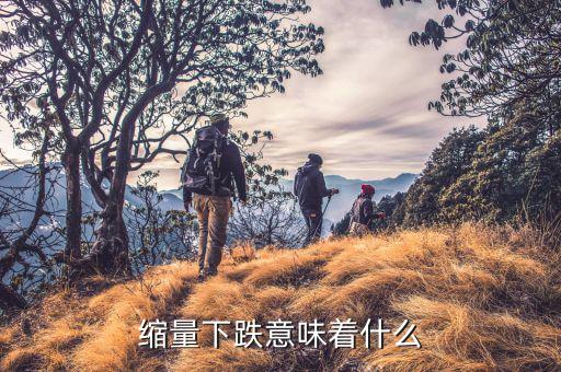 股票縮量下跌意味著什么，股票縮量下跌代表什么意思