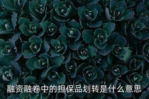什么是劃轉(zhuǎn)，劃撥轉(zhuǎn)賬是什么意思