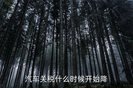 汽車(chē)關(guān)稅什么時(shí)候開(kāi)始降