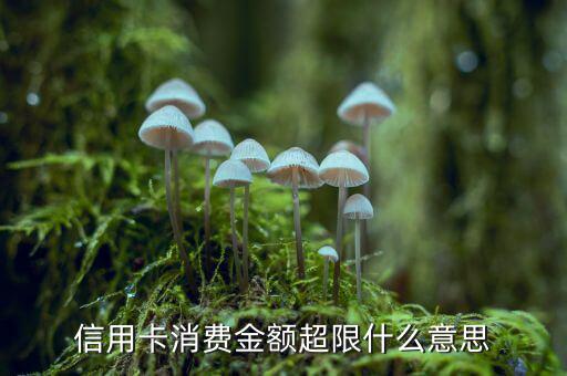 信用卡超限什么意思，信用卡消費(fèi)金額超限什么意思