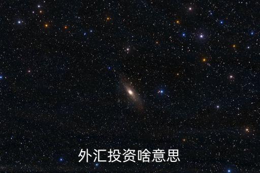 外匯融資是什么意思，外匯投資啥意思