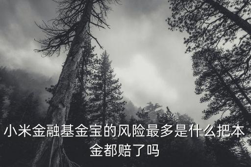 小米金融基金寶為什么一直跌，小米金融基金寶我投了100元為什么還在確認(rèn)當(dāng)中何時贖回