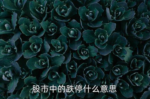 跌停是什么意思，跌停是什么意思